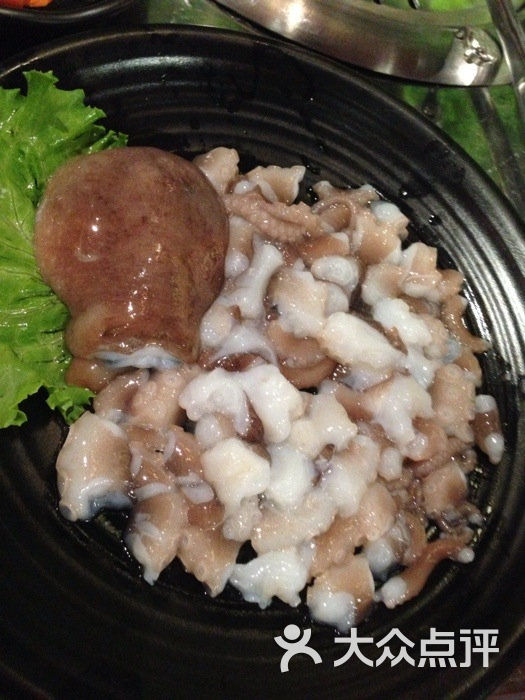 活章鱼_哈馜是茨茨