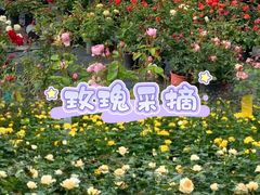 -上海山野camping·户外天幕烧烤·团建拓展营地
