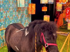 -宁波国际会展中心