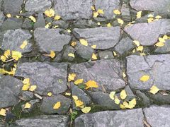 -四明山国家森林公园