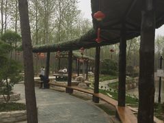 -合肥滨湖国家森林公园