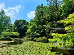 -杭州植物园