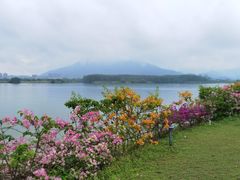 -福建鲤鱼洲酒店