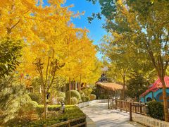 -南宫五洲植物乐园