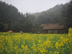 -常德桃花源景区