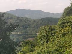 -广州市帽峰山景区