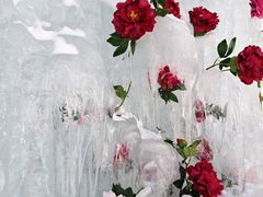 -洛阳白云山景区