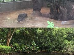 -海南热带野生动植物园
