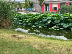 -江南大学(蠡湖校区)