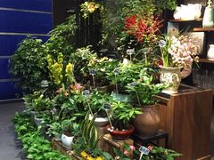 -豆豆花艺(新光天地店)