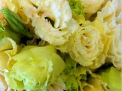 -静岸花卉园艺(三星坊店)