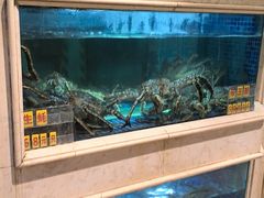 -顺峰(农展馆店)