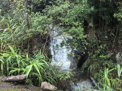 -天龙顶山地公园