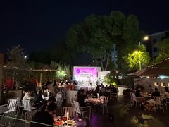 -杨氏青龙虾·羊蝎子(金盛路总店)