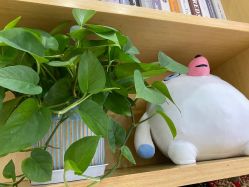 -WENDY·温迪皮肤管理