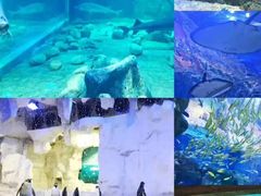 -西安华夏文旅水世界