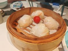 -新兴·金羊座·粤菜点心(乐峰店)