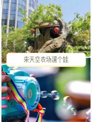 -可可天空农场(中大店)