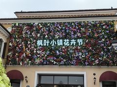 -枫叶小镇奥特莱斯