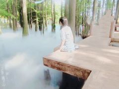 -东湖落雁景区