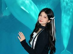 -海合安武汉极地海洋公园