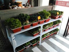 -捞围鲜·港式打边炉(海阳路店)