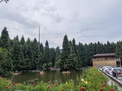-武陵山森林公园