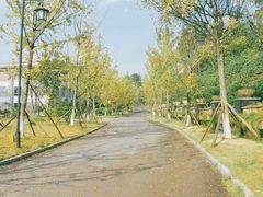 -铁山坪森林公园