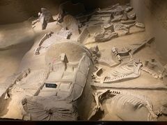 -洛阳周王城天子驾六博物馆