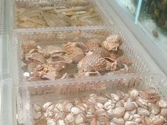 -山海经·海边人家 海鲜新青岛菜(扬州路店)