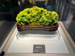 -安徽省地质博物馆