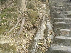 -风云岭森林公园