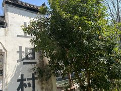 -上坦村