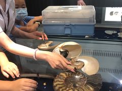 -青岛贝壳博物馆