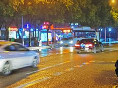 -刘胖娃鱼庄·特色肥肠鱼(杨家坪店)