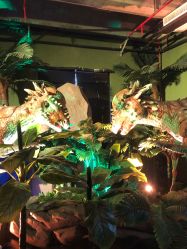 -恐龙探索乐园(磁器口店)