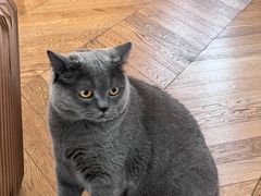 -Me Coffee下午茶艺术空间