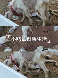 点击看大图 -爱儿美儿童摄影亲子馆(五路居店)