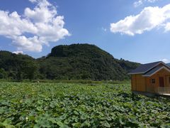 -美景家宴