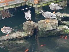 -南宫五洲植物乐园