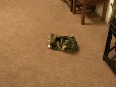 -华兴大酒楼(亿宝大厦店)