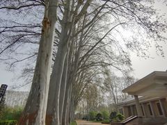 -河南省黄河迎宾馆