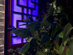 -CLUE演绎实景剧本杀(江南西店)