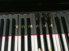 -梅纳·钢琴声乐架子鼓Mena Music(双井店)