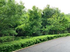 -长春市南湖公园