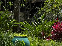 -四季酒店下午茶