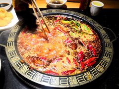 -一斗火锅·招财羊毛肚(北温泉九号店)