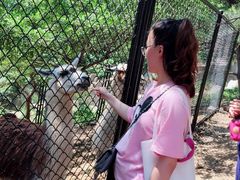 -大连森林动物园