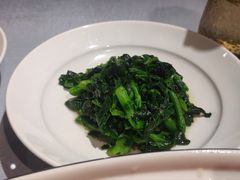 上海青菜苔-宋园·金宴浙鲜馆(静安店)