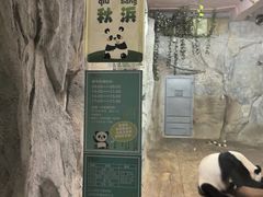 -深圳野生动物园